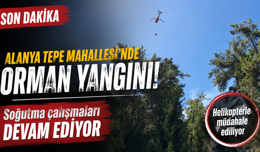 SON DAKİKA: Alanya’daki Orman Yangınında Soğutma Çalışmaları Başladı