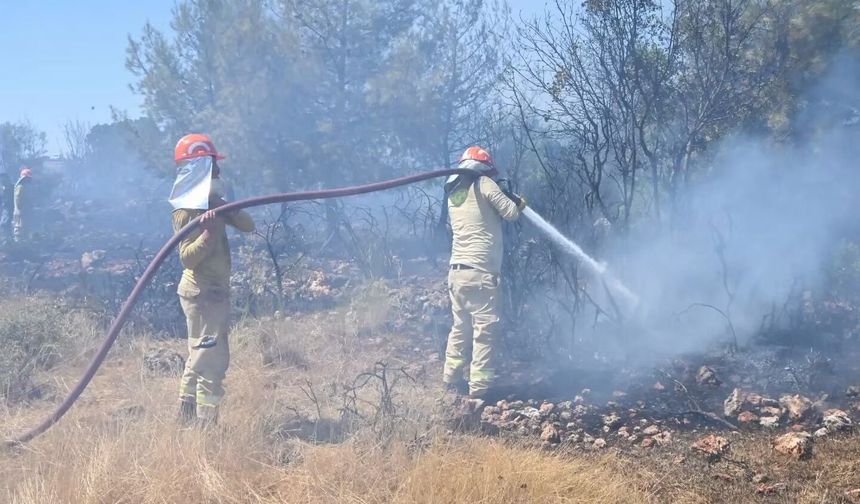Alanya’da Ormanlık Alanda Yangın! Soğutma Çalışmaları Sürüyor