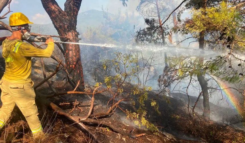 Alanya’da Gece Yarısı Orman Yangını! Sabahın İlk Işıklarıyla Kontrol Altına Alındı