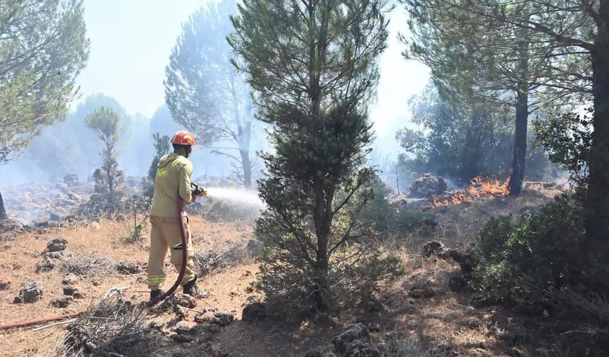 Alanya’da yıldırım ormanı tutuşturdu: Yangın büyümeden söndürüldü