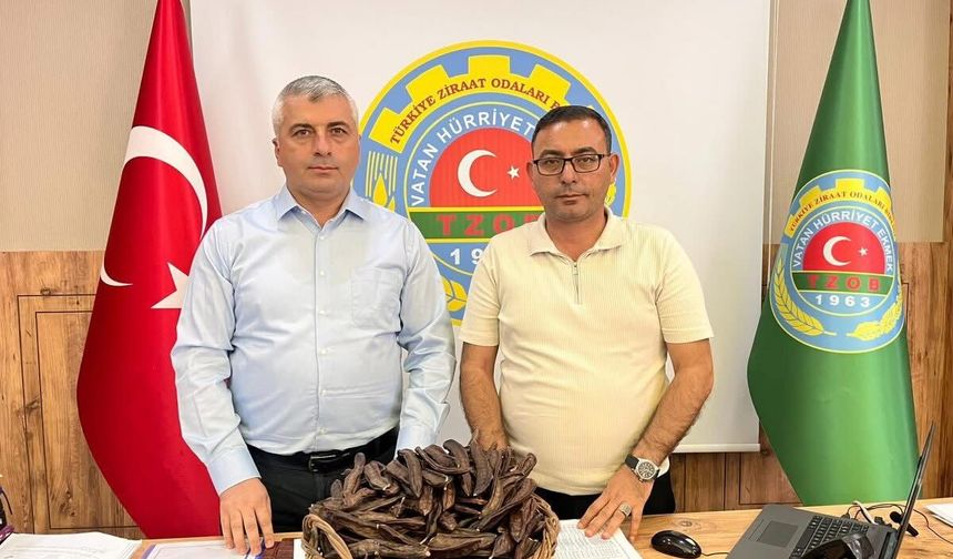 Keçiboynuzunun da bir değeri var: Alanya’da tavsiye fiyat açıklandı