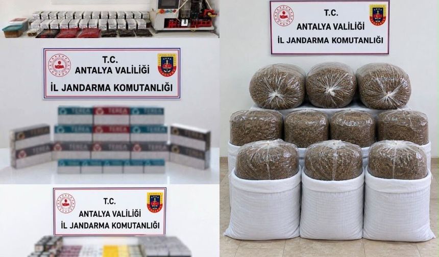 Alanya’da Kaçak Tütün Operasyonu: 400 Kilo Tütün ve 36 Bin Doldurulmuş Makaron Ele Geçirildi
