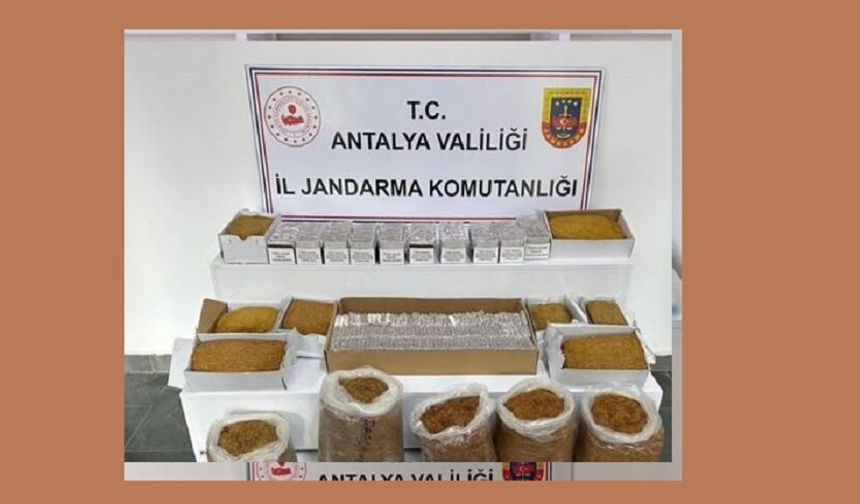 Alanya’da Kaçak Tütün Operasyonu!