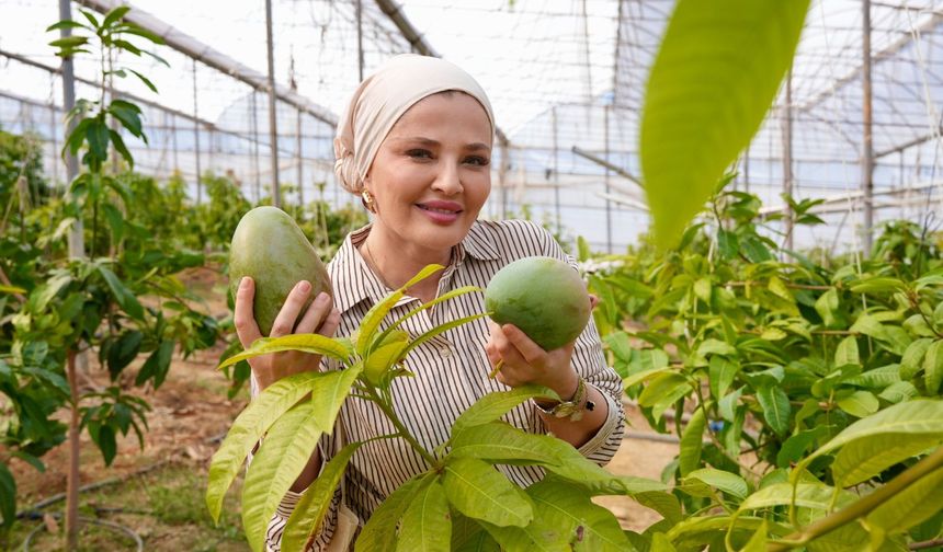 Alanya’da Tropik Fırtına Esti! 679 Gramlık Avokado Şampiyon Oldu