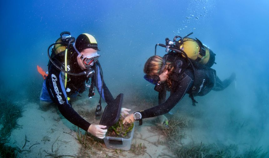 Antalya’nın Deniz Altı Yaşamı Yeniden Canlandırılacak