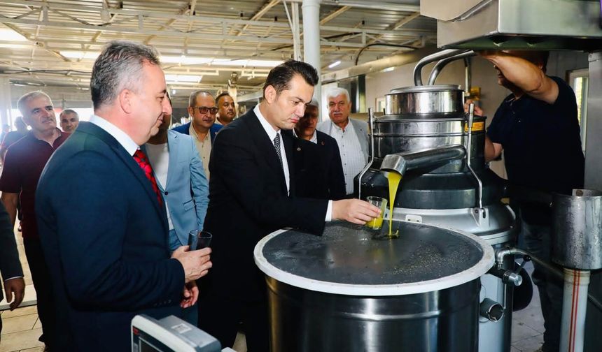 ALANYA’DA ZEYTİN MESAİSİ! KAYMAKAM ÜRETİCİYLE BULUŞTU