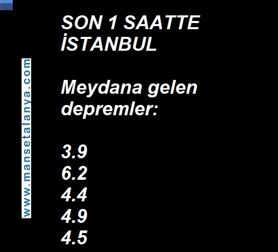949Ed3E4 De40 4Ee2 Baad 798917Ac0Ecd-1