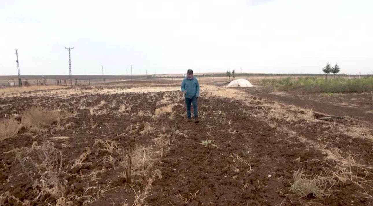 44691B0E 97D8 4F92 B796 9F148D2F3466