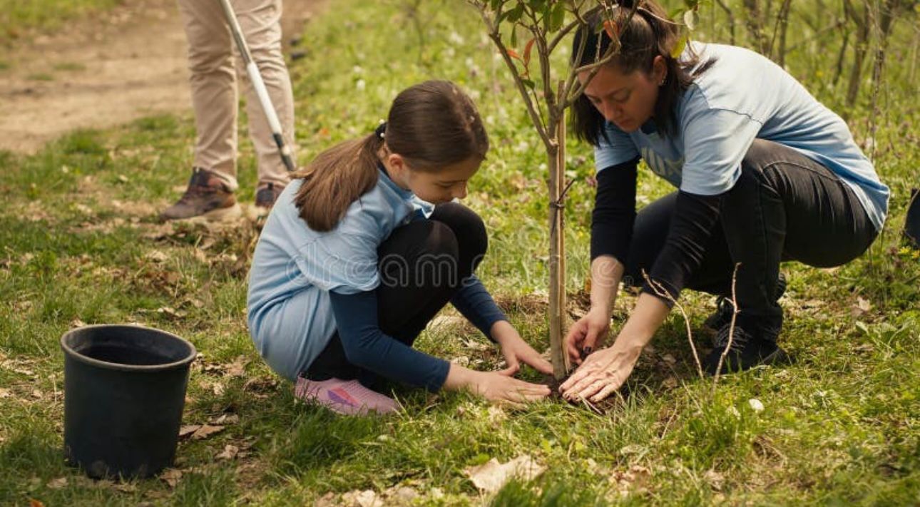 59Fdff74 5Bfc 441F B12D F04B16A767Ad