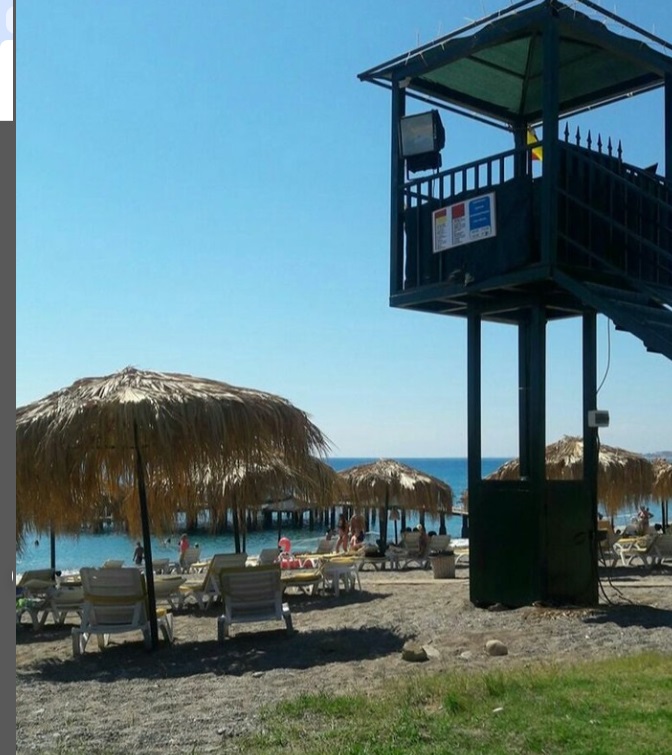 76E91D01 Da99 4F81 A760 5E2519052F0F-1