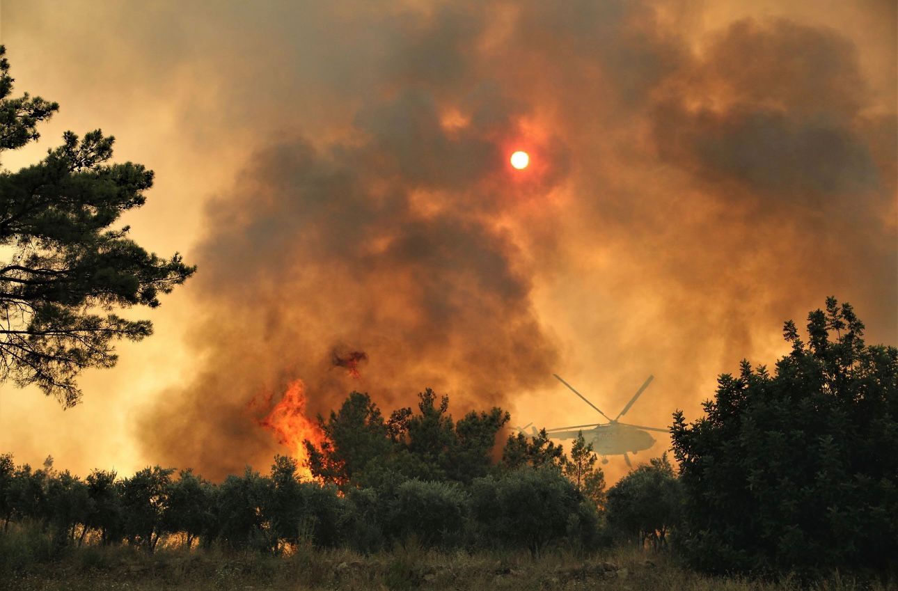 C9C3F811 7987 427B A02D Bbcb937E3411