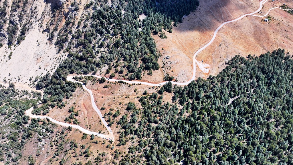 31178D02 D8Ce 4Eae 99D2 F94B8F5311E4