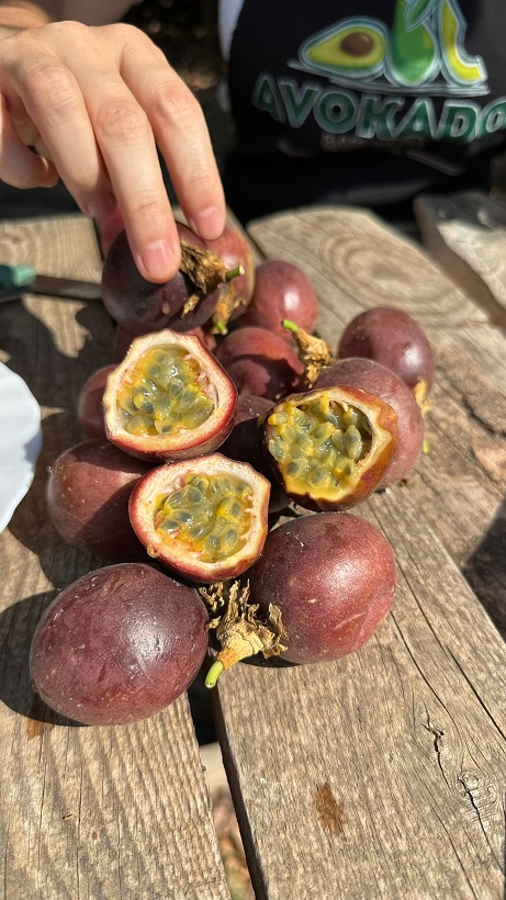 41A7808B Bf2D 4056 8Cb2 78A9Fcaaf7Be