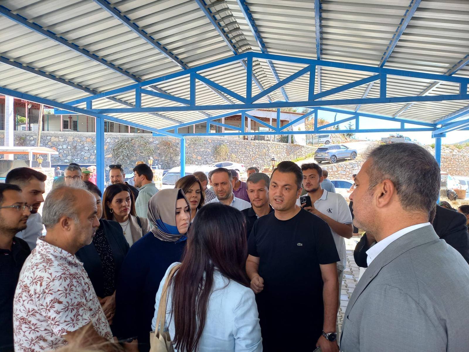 550948393 799174609134581 236831974967678783 N