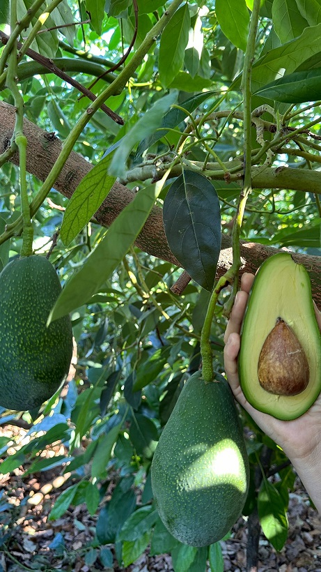 87D413C4 5207 4037 B3C1 7C1D379Ae58C