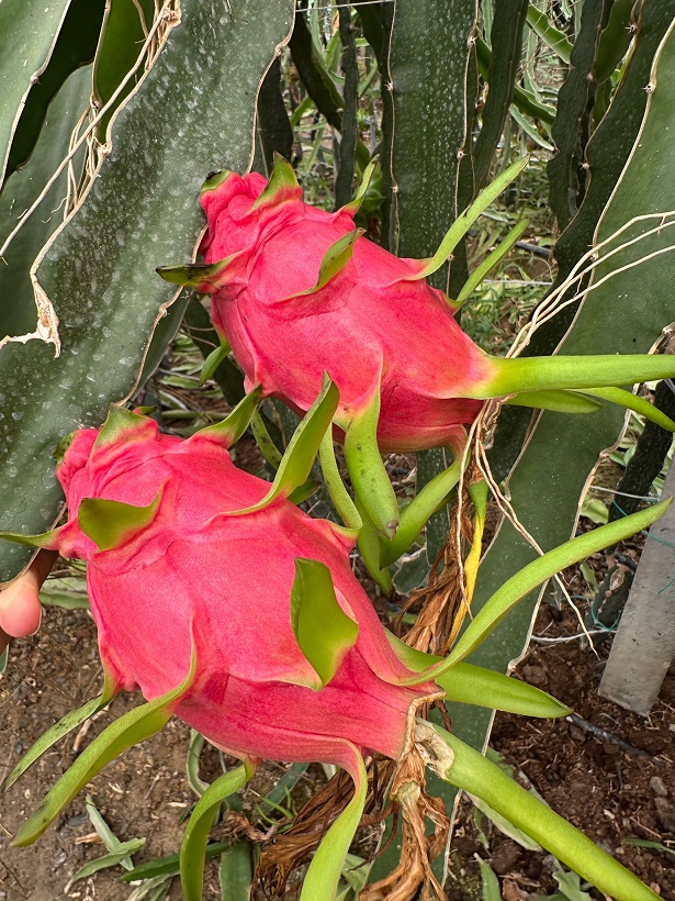 A0Bde600 7B4A 4Cd4 9639 B6980Ad5C259