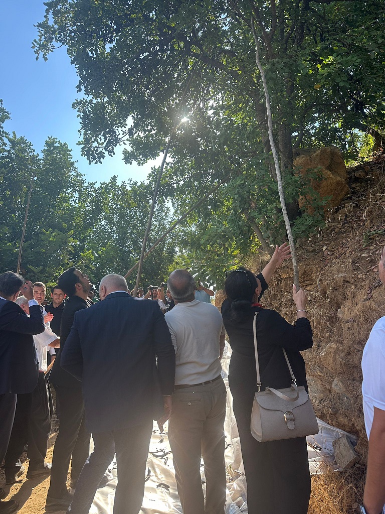 A1Efa8Ef Facc 4398 A70C 452D21Bfd14A