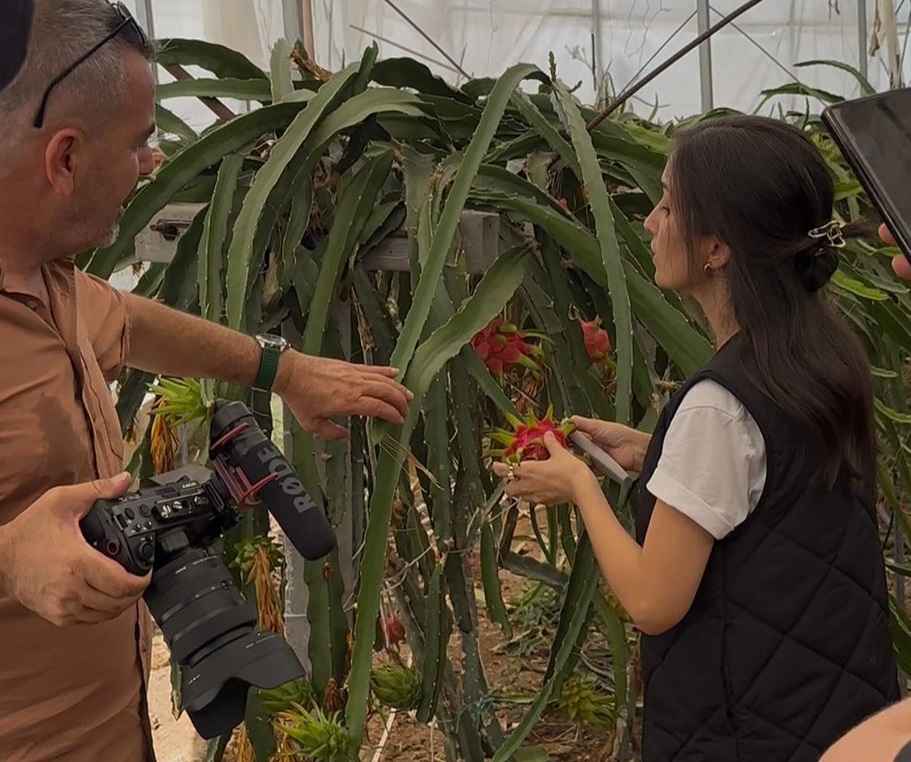 F2Ef1A5F 7B70 42Ed 992E 4C1Bbb6014Ae