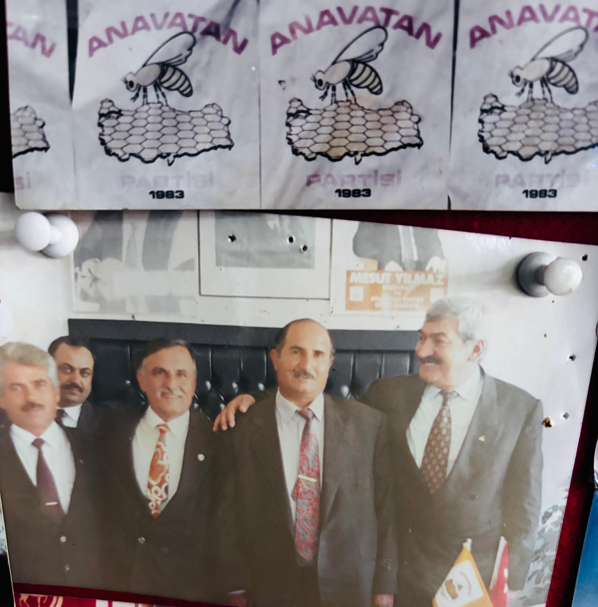 A87Ec7F0 Fd38 4544 8744 Cd6A1D6B2Ee9