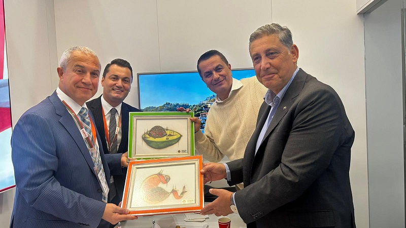 13665Fda 5C35 4349 92A0 E32325Ccde4C