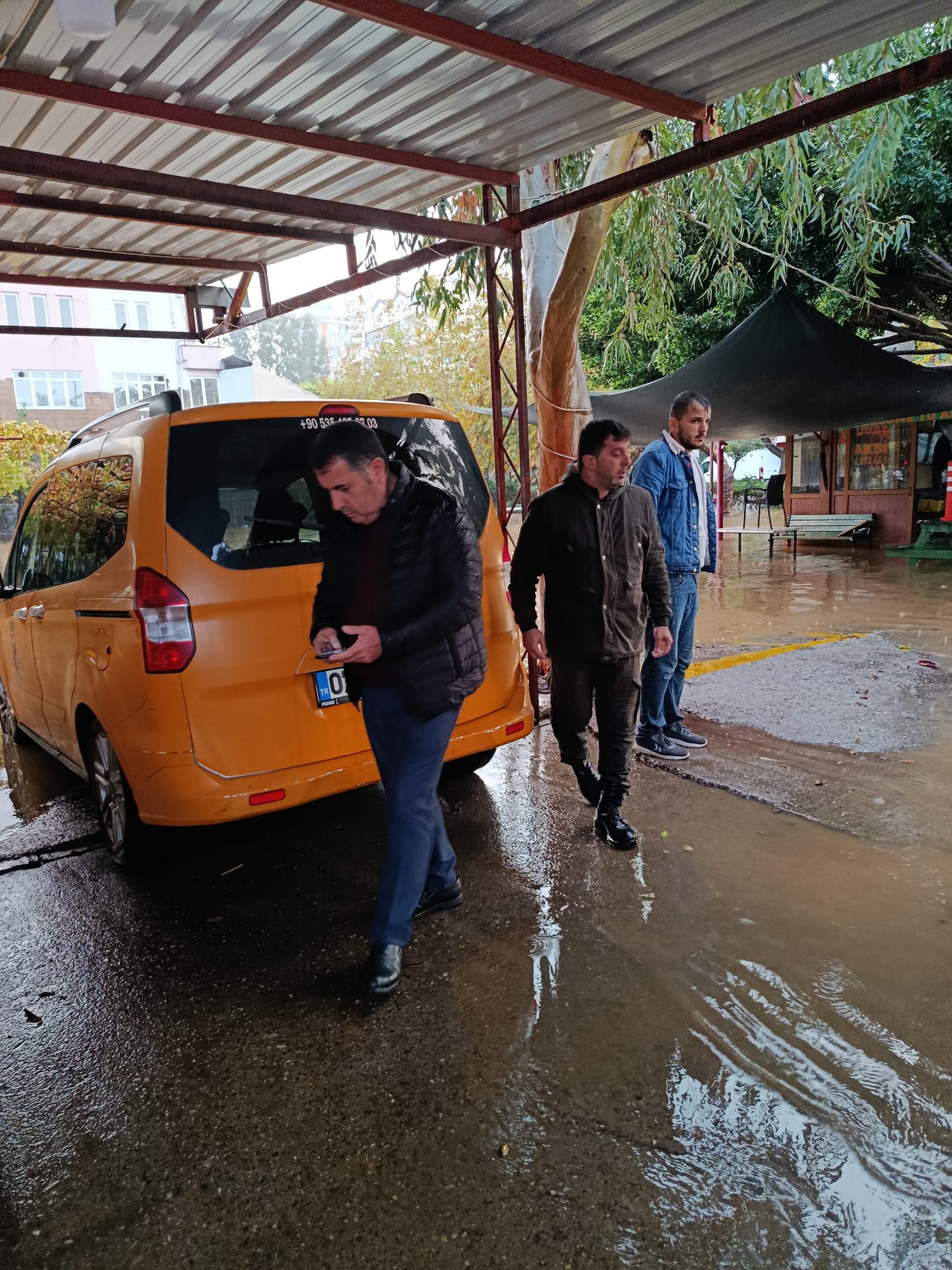 2A932Ee8 Ceb8 4F1D A022 72Eb558F50E1