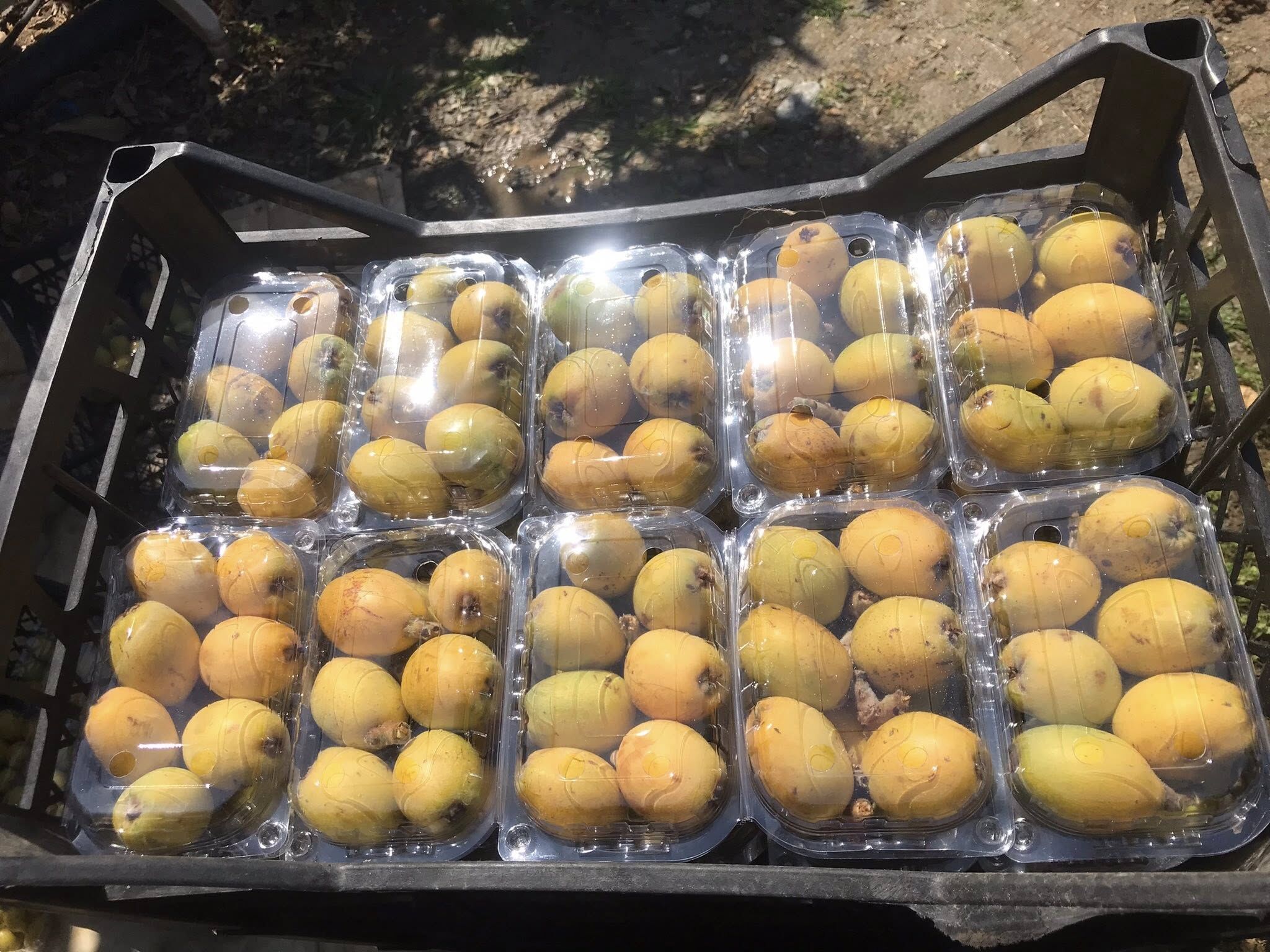 653174591 1511268450358628 1767428568430774873 N