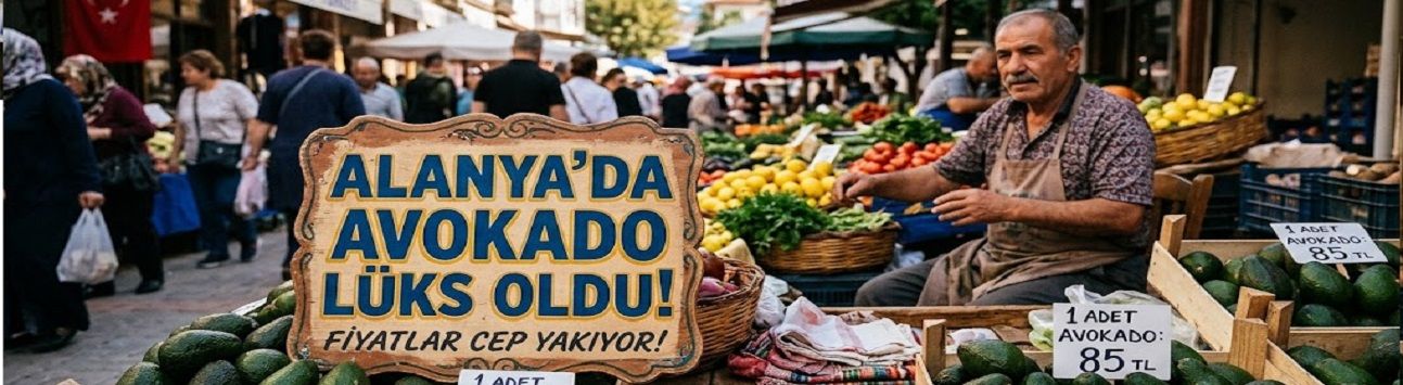 ALANYA’DA AVOKADO LÜKS OLDU!