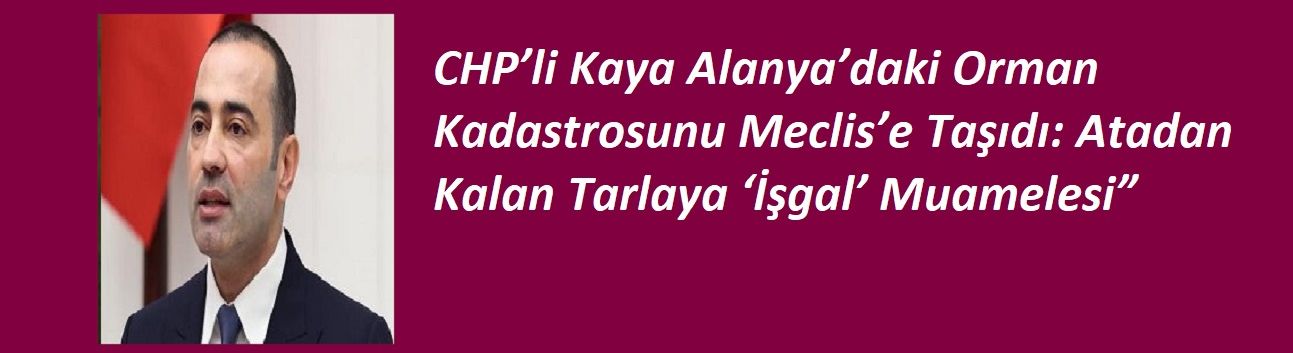 CHP’li Kaya Alanya’daki Orman Kadastrosunu Meclis’e Taşıdı: Atadan Kalan Tarlaya ‘İşgal’ Muamelesi”