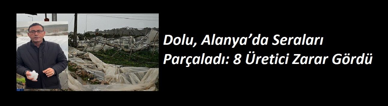 Dolu, Alanya’da Seraları Parçaladı: 8 Üretici Zarar Gördü