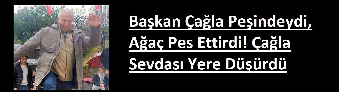 Başkan Çağla Peşindeydi, Ağaç Pes Ettirdi! Çağla Sevdası Yere Düşürdü