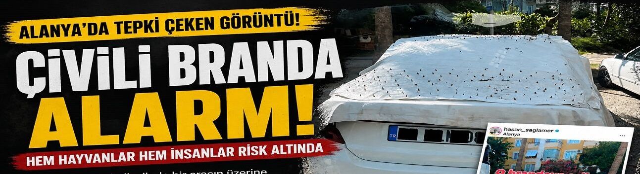 Alanya’da Vicdanları Sızlatan Görüntü
