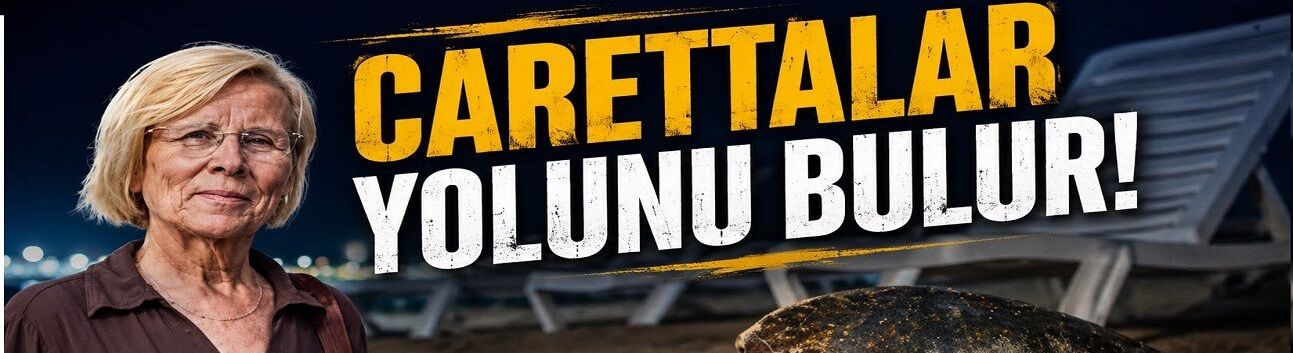 Gece Sahilin Gerçek Sahipleri Geliyor! Flaş Açmayın, Uzaktan İzleyin